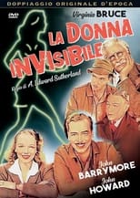 Poster di La donna invisibile