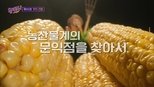 유 퀴즈 온 더 블럭 1x95 (S01E95)