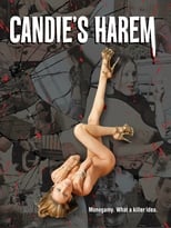 Poster for Candie's Harem