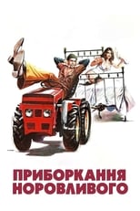 Приборкання норовливого (1980)