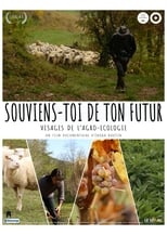 Souviens-toi de ton futur (2017)