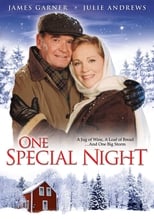 One Special Night (1999)