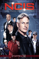 Poster zu Staffel 12 – Navy CIS