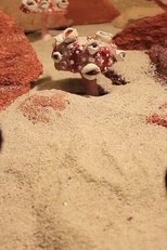 Osiris’ Gift (2021)