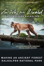 Making An Ancient Forest – Kalkalpen National Park (2015)
