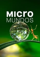 VER Micromundos (2020) Online Gratis HD