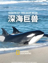 Beasts of the Big Blue poster