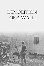 Poster for Demolition of a Wall