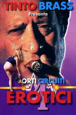 Corti circuiti erotici Vol.4 poster