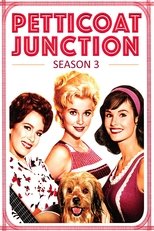 Poster for Petticoat Junction Season 3