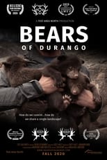 Poster di Bears of Durango