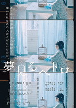 Dreaming Petro poster