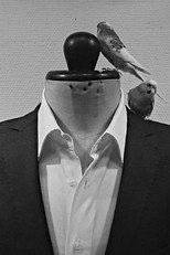 Tailor