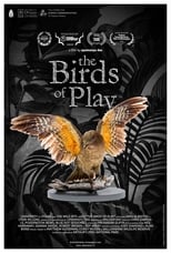 Poster for The Birds of Play 