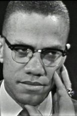 The Negro and the American Promise poster