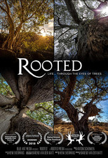 Rooted Life Through The Eyes Of Trees poster