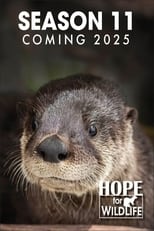 Poster for Hope for Wildlife Season 11