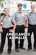 Poster di Ambulances animales