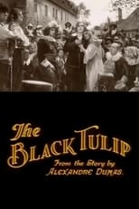Poster for The Black Tulip