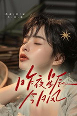 昨夜星辰今日风 poster