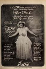 Poster for The Test