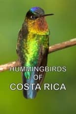 Poster for Hummingbirds of Costa Rica