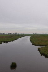 Die Vereinzelung der Dinge