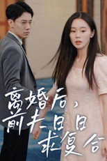离婚后，前夫日日求复合 poster