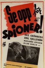 Poster for Se opp för spioner!