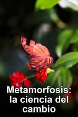 Poster for Metamorphosis: The Science of Change 