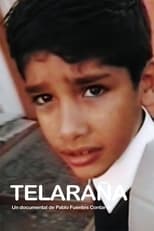 Poster for Telaraña 