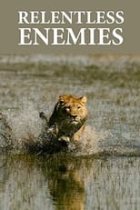 Poster for Relentless Enemies: Revealed