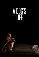 Poster for A Dog's Life 