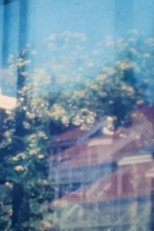 Suburban Windows