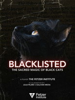 Blacklisted poster