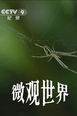 微观世界 poster