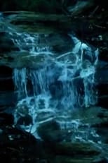 Capillary Action Capillary Action