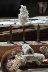 Boom -> Bust (Vicious Cycles #1) poster