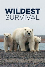 Wildest Survival poster