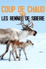 Poster for Heatstroke for the Siberian Reindeer