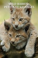 FR - Wild Babies : Petits et Sauvages