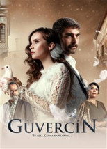 Güvercin