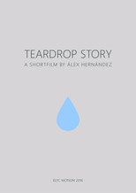 Teardrop Story
