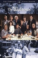 Poster for The Waltons Season 6