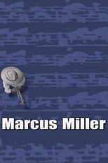 Marcus Miller - AVO Session