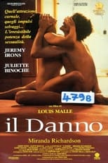 Poster di Il danno