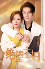 绝情主妇 poster