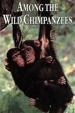 Poster for Among the Wild Chimpanzees