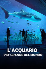 L'acquario più grande del mondo poster