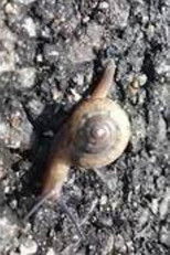 Hong Sangsoo – Winner of the Silver Bear for Best Screenplay